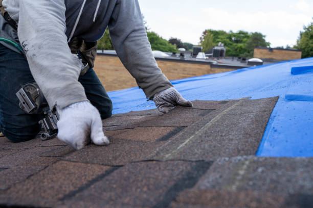 Fast & Reliable Emergency Roof Repairs in Shandon, CA